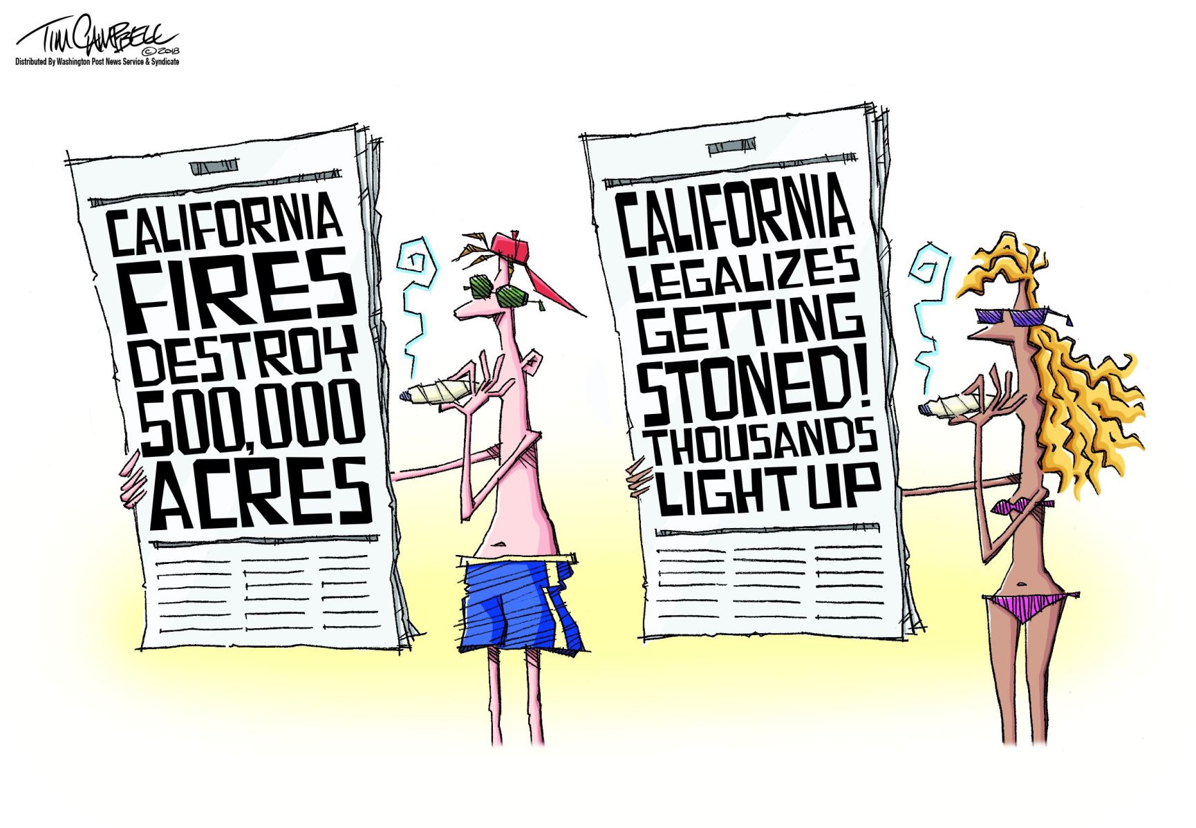 Tim Campbell cartoon